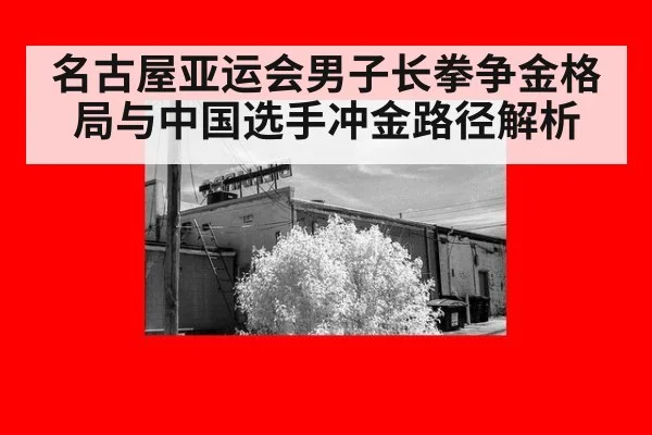 名古屋亚运会男子长拳争金格局与中国选手冲金路径解析